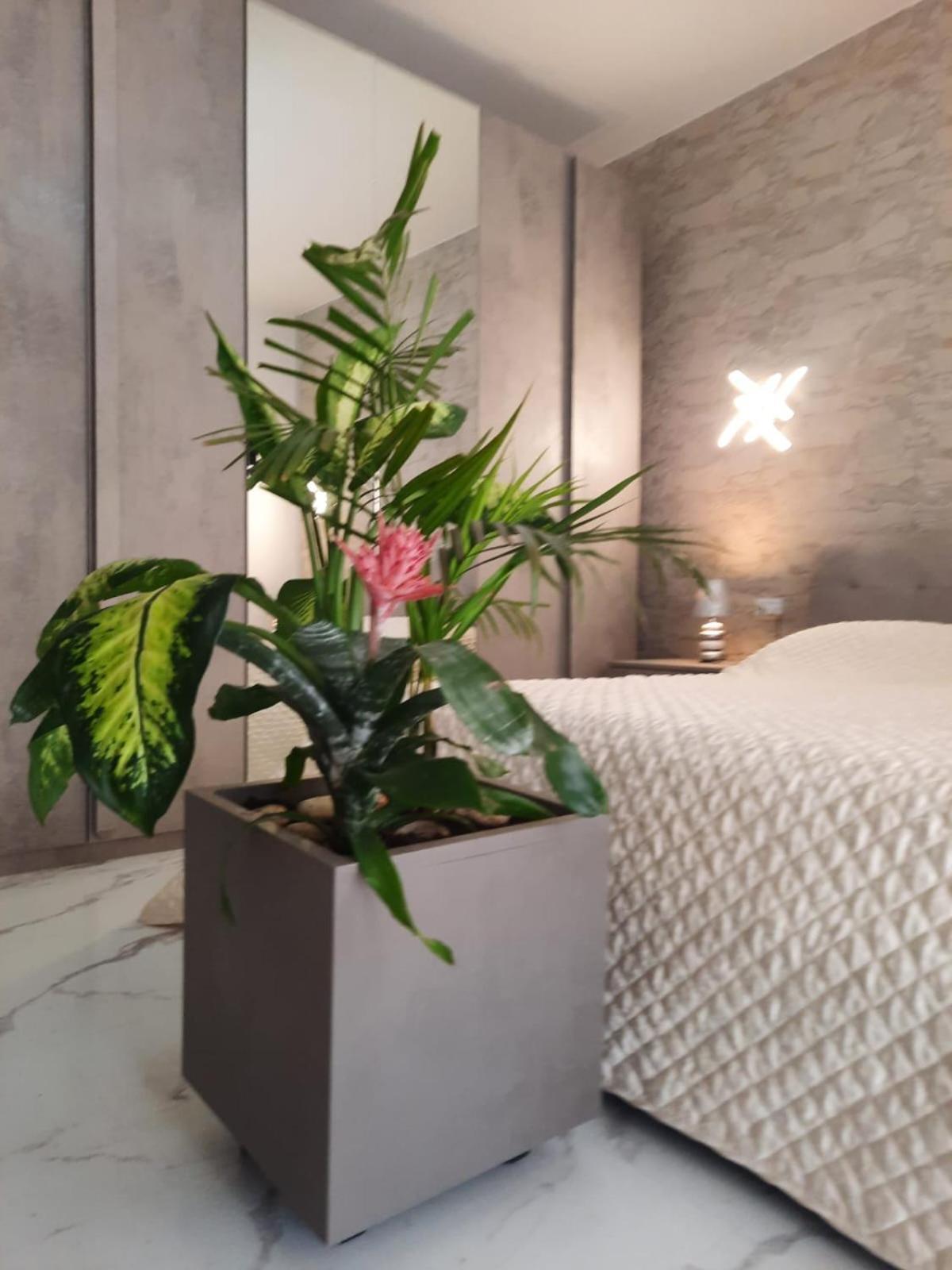 Mini Paradise Appartamento
